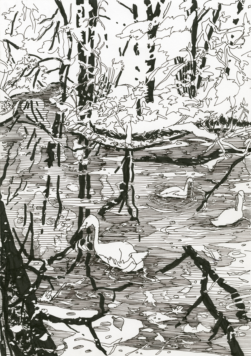 Volksgarten Düsseldorf (2012, 29,7 x 21 cm)