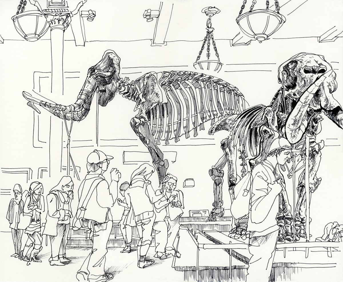 New York Naturkundemuseum