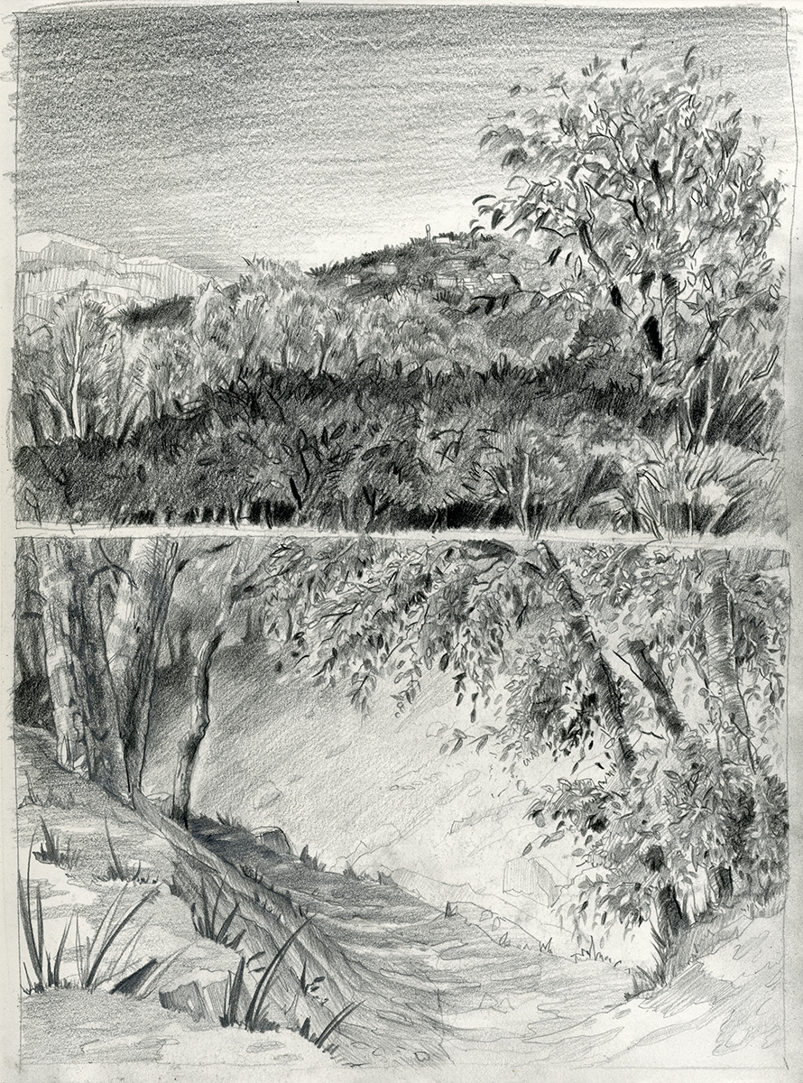 Landschaft und Waldweg