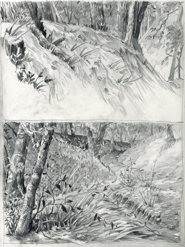 Kleiner Abhang und Waldweg, 2019